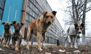 Администрация Воскресенского района информирует