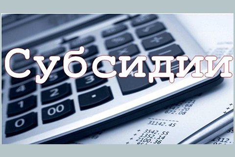 Администрация городского округа Воскресенск рассмотрела заявки  на предоставление субсидии