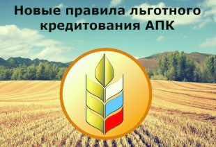 Новые проекты для развития села