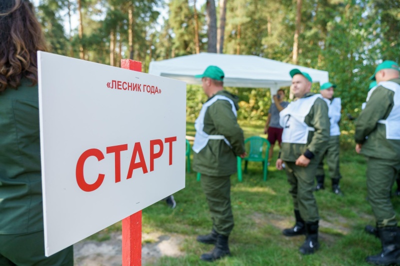 Областной конкурс «Лесник года» пройдет на территории городского округа Воскресенск  