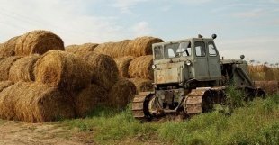 Предварительные итоги переписи обсудили в Мособлдуме