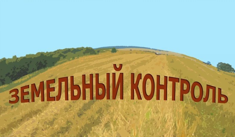 За лето юрлица задали администрациям округов Подмосковья более 160 вопросов по муниципальному земельному контролю