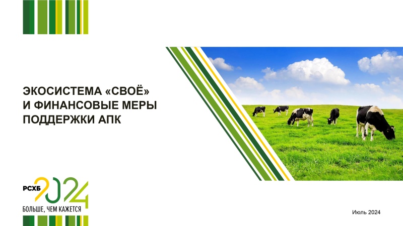 Финансовые решения и нефинансовые меры поддержки АПК от РСХБ