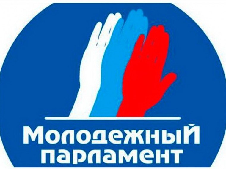Итоги выборов в Молодёжный парламент при Совете депутатов городского округа Воскресенск 