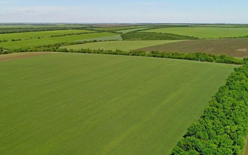 В Подмосковье начался приём заявок на бесплатную землю под развитие агробизнеса