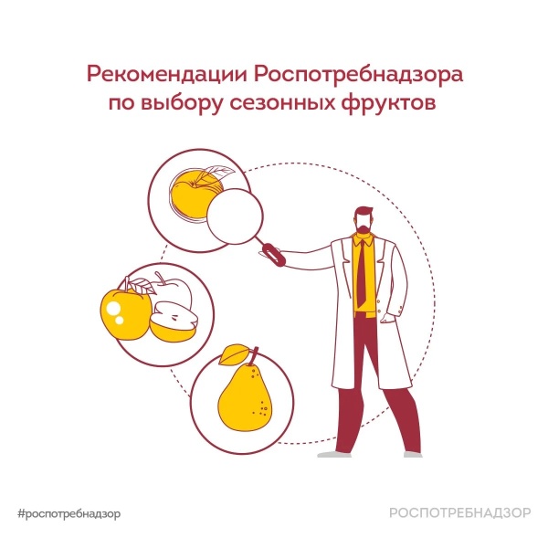 Роспотребнадзор даёт рекомендации по выбору сезонных фруктов