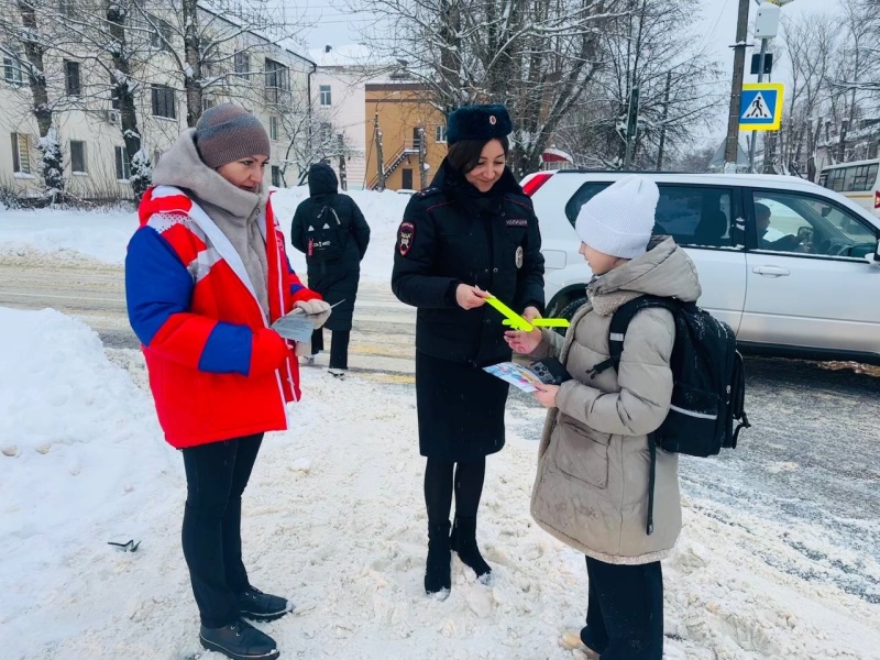    В городском округе Воскресенск автоинспекторы и общественники проконтролировали движение пешеходов