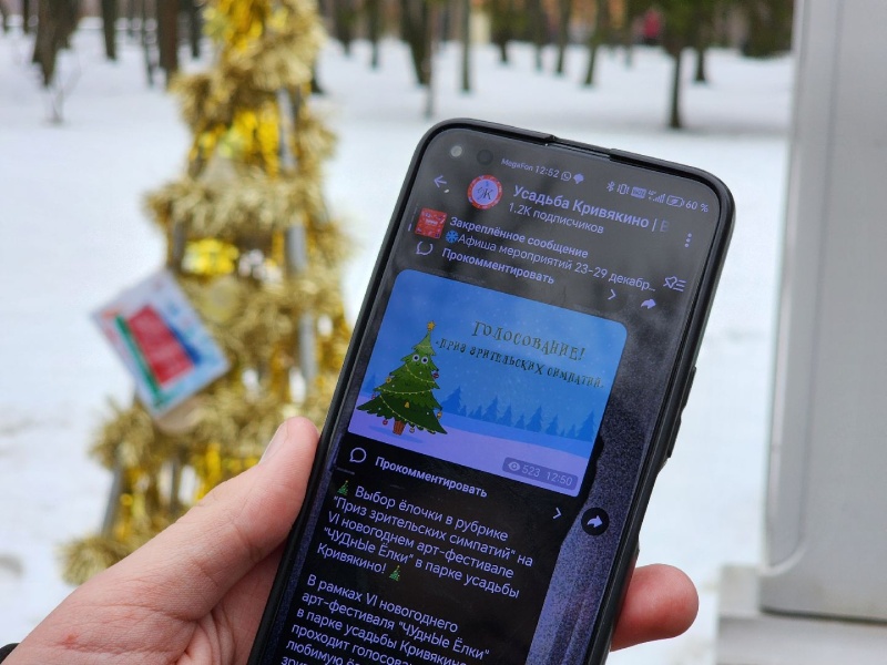 На воскресенском фестивале ёлок проходит голосование за приз зрительских симпатий