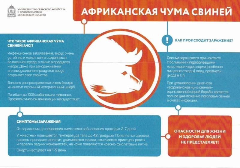 В Московской области пройдёт месячник по обеспечению биологической защиты объектов свиноводства "Летний вепрь"