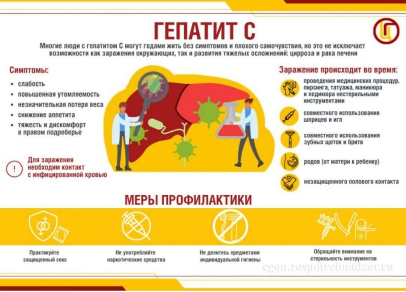О мерах профилактики вирусного гепатита С