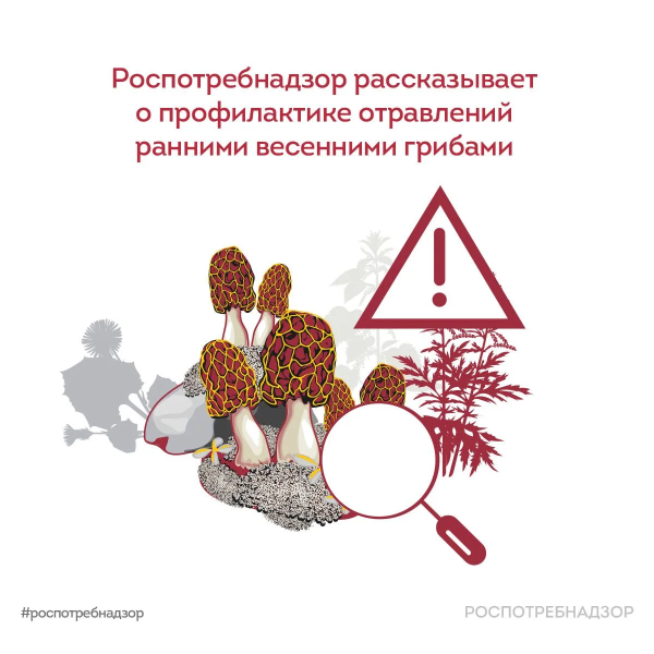 Роспотребнадзор информирует 