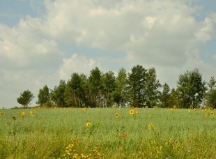 Сельхозземлям внимание и заботу