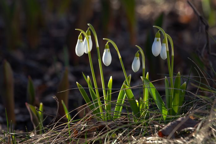 Ожидается аномально жаркая погода