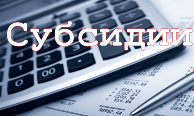 Объявляется Конкурс среди субъектов малого и среднего предпринимательства на право получения субсидии из бюджета городского округа Воскресенск