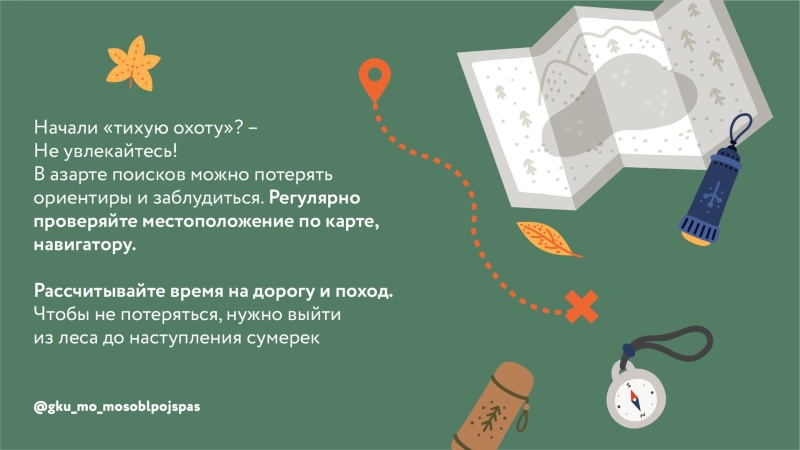 В Воскресенске нашли ещё одного заблудившегося грибника 