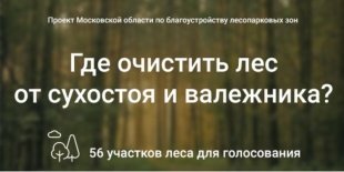Голосование за очистку лесов Воскресенского района от сухостоя и валежника