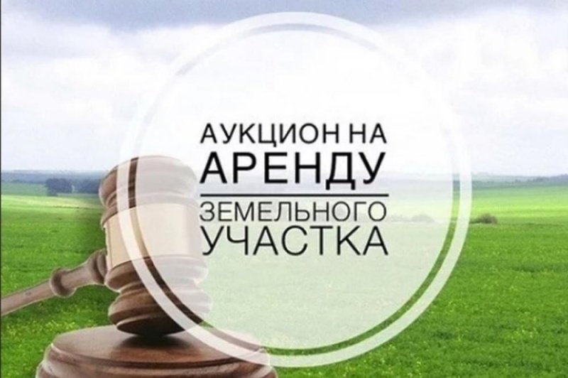 О проведении аукциона 