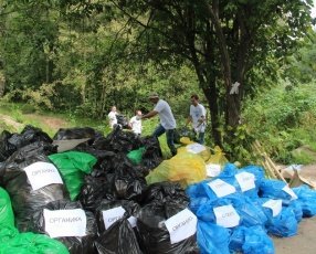 «Зеленый день» в Подмосковье