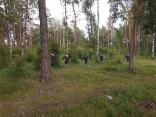 С начала года спасатели Московской области вывели из леса 328 заблудившихся