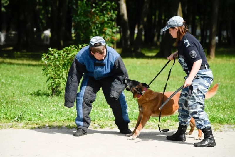 В Воскресенске прошёл «Один день с полицией Подмосковья»