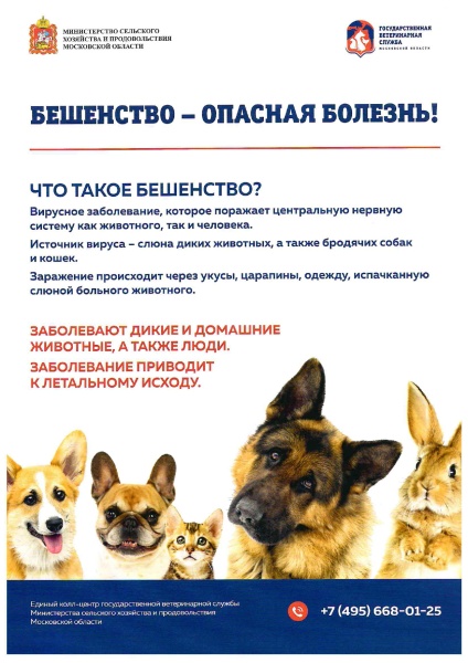 С 1 по 31 мая проводится Месячник по профилактике бешенства
