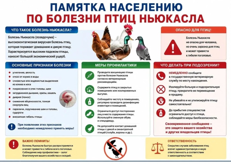 В Московской области проходит Месячник по обеспечению биологической защиты объектов птицеводства – «СТОП ГРИПП»