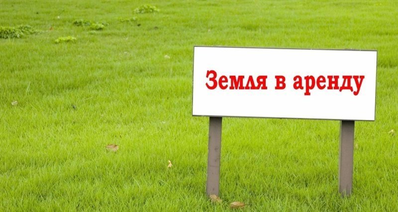 Информация о предварительном согласовании предоставления в аренду земельного участка