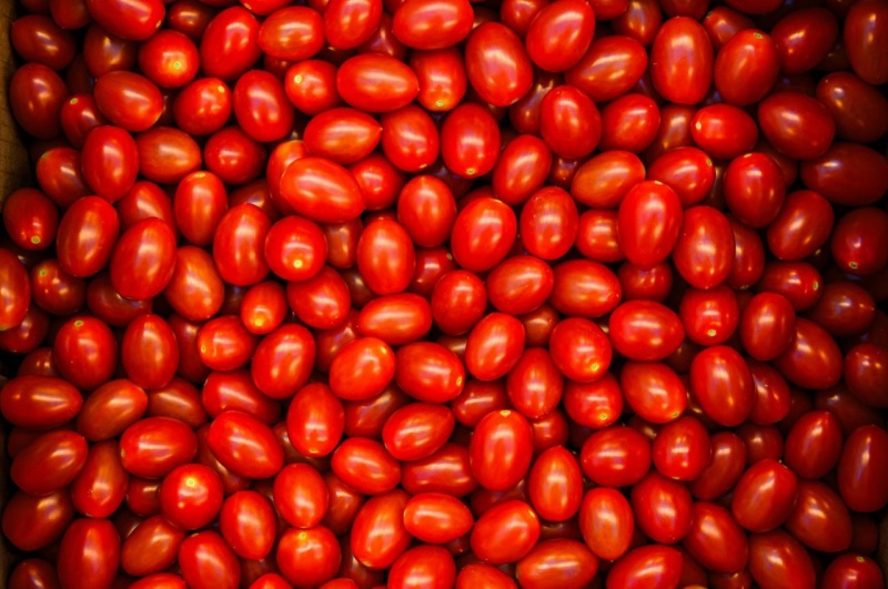 В этом году в Подмосковье начнет работу первый в России селекционно-семеноводческий центр по производству семян томатов