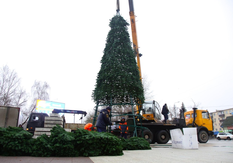В Воскресенске устанавливают новогодние ели