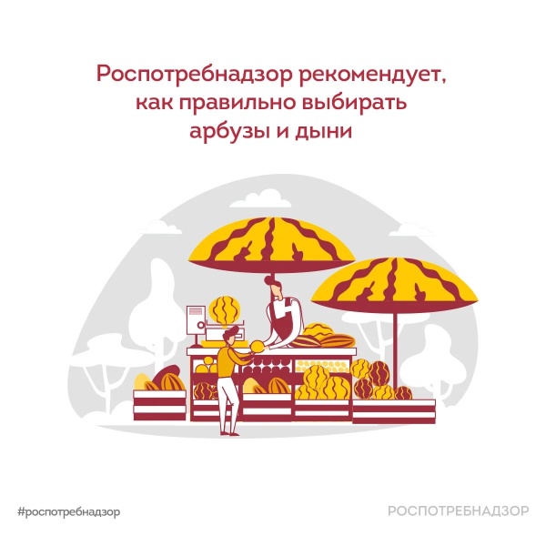 Как правильно выбирать арбузы и дыни