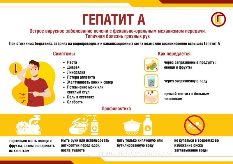 О мерах профилактики вирусного гепатита А 