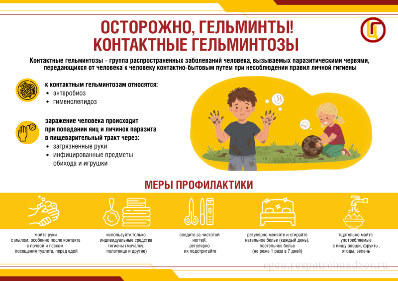 О мерах профилактики контактных гельминтозов