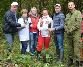 В Воскресенском районе лес не вырубают, а восстанавливают