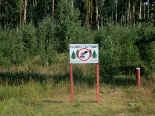 В Московской области официально завершен пожароопасный сезон