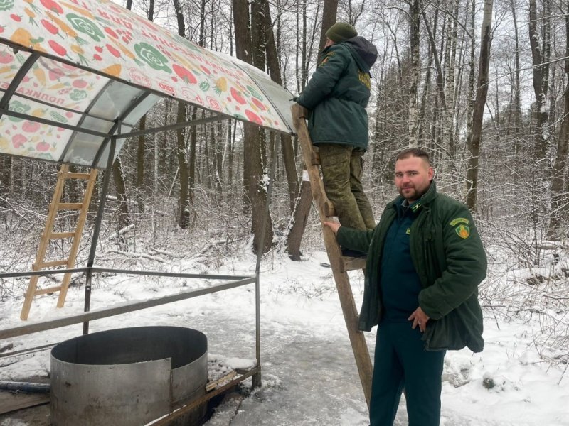 Лесничие благоустроили родник в деревне Ёлкино городского округа Воскресенск