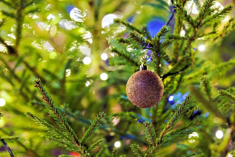 Кто может получить бесплатный билет на новогоднюю ёлку