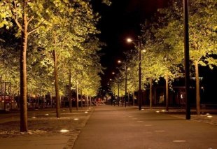В регионе с начала года установлено и модернизировано почти 15 тысяч энергоэффективных уличных светильников 