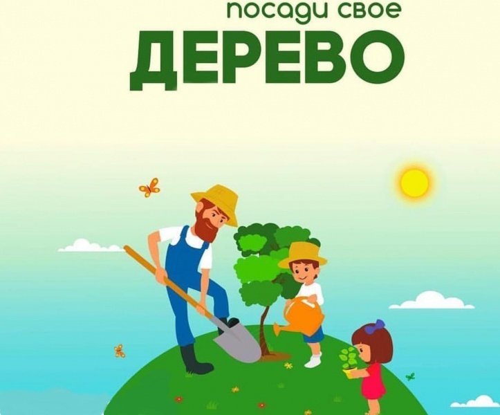 рельефный посади свое дерево в картинках первом раунде