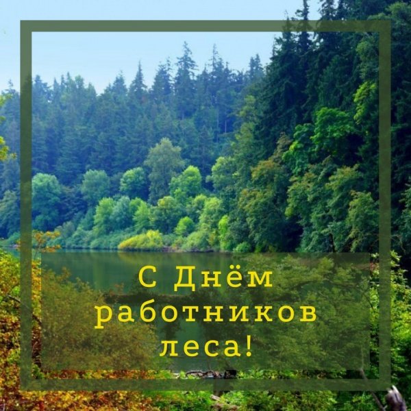 С Днём работников леса в России!