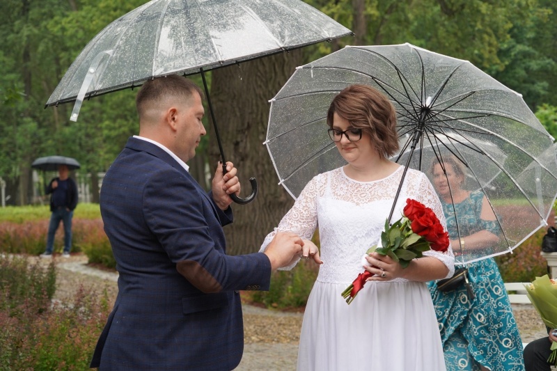 В парке Кривякино прошла первая выездная церемония регистрации брака