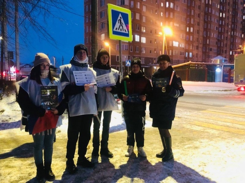 В Воскресенске прошла акция «Безопасный переход!»