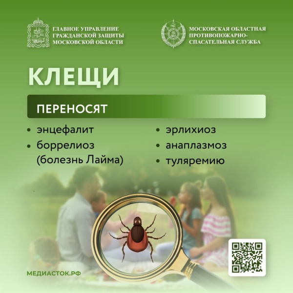 Как защититься от клещей