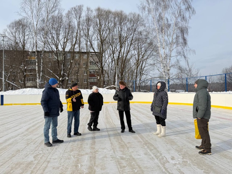 В микрорайоне Лопатинский городского округа Воскресенск появился новый каток 