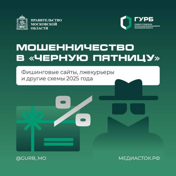 Все о мошенничестве в "чёрную пятницу"