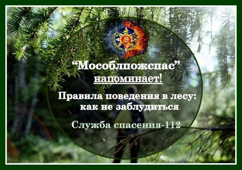 «Мособлпожспас» дает рекомендации для любителей тихой охоты