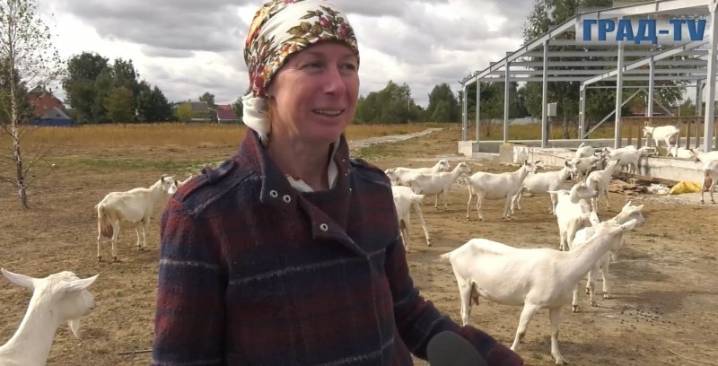 В Воскресенске успешно разводят коз зааненской породы и обеспечивают потребителей качественной молочной продукцией