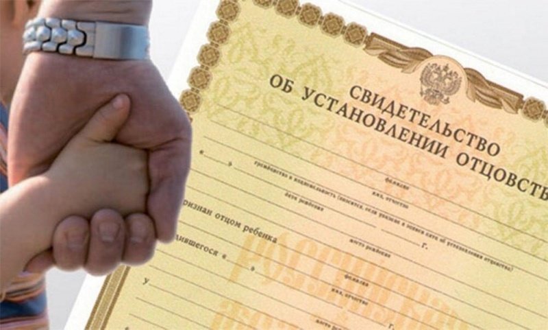Образец справки на установление отцовства