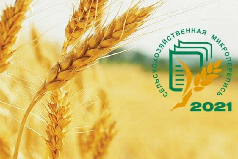 В России стартовала первая сельскохозяйственная микроперепись