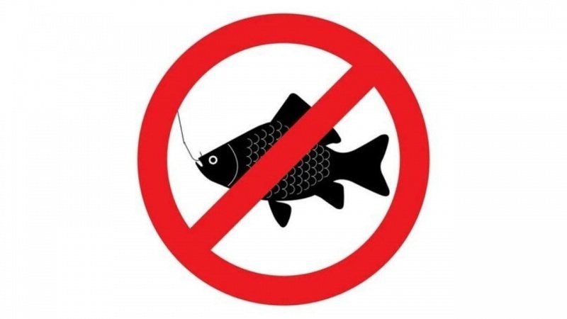 Запрет на лов рыбы 