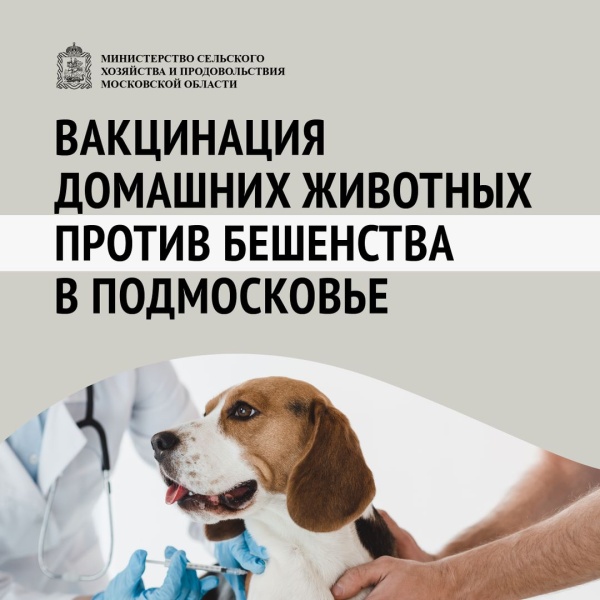 В городском округе Воскресенск пройдёт выездная вакцинация животных 